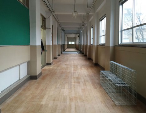 サムネイル:長坂常 / スキーマ建築計画による、京都での展覧会「still moving」の会場構成