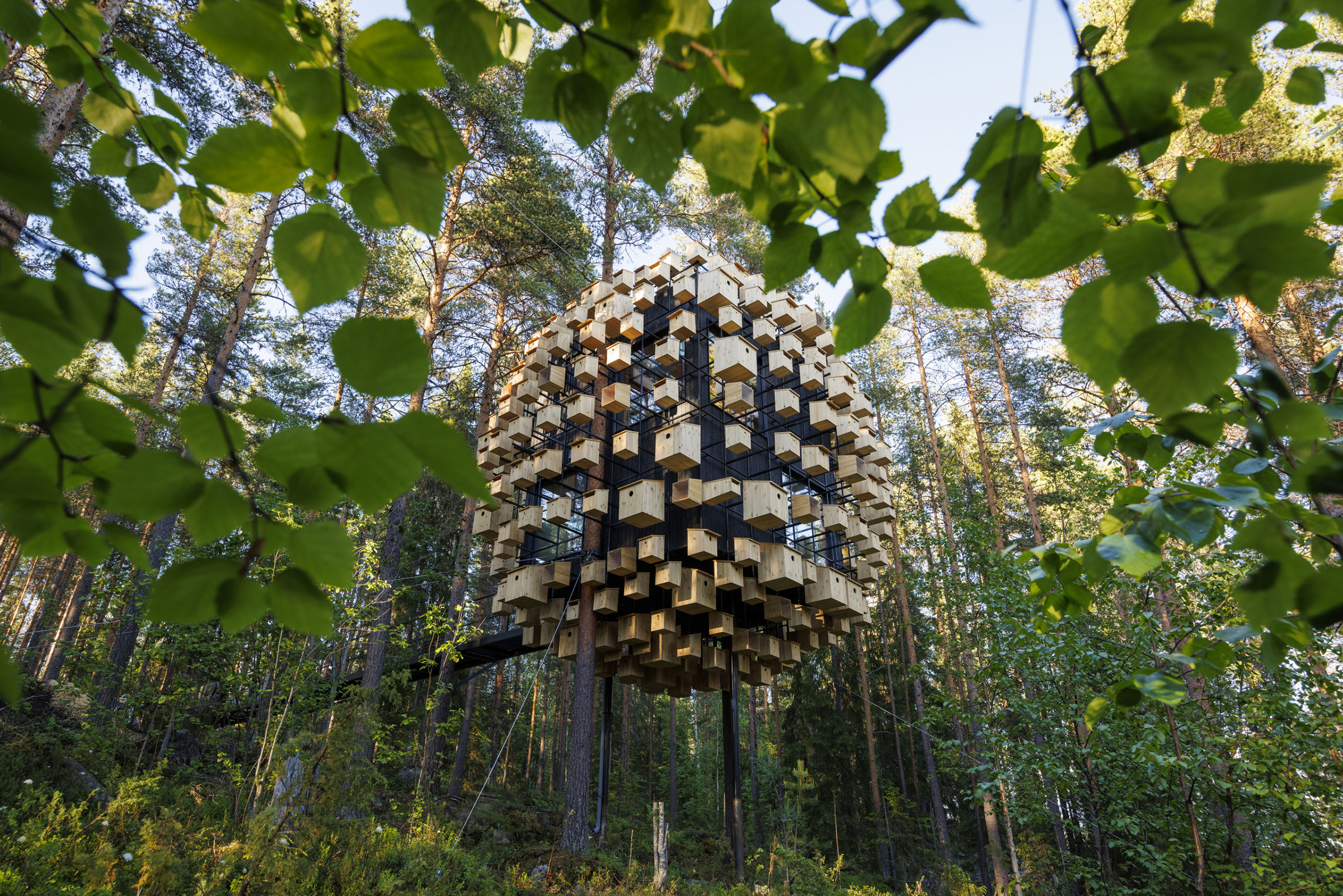 BIGによる、スウェーデンの宿泊施設「Biosphere」。森林の中に“ツリー